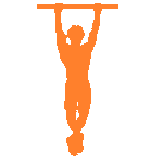 scapula-pullup1