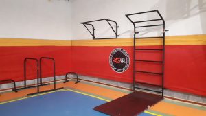 باشگاه کلیستنیکس