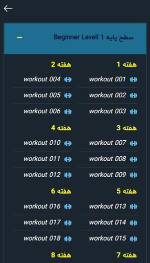 برنامه سطح پایه کلیستنیکس - تصویر 7