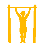 Archer Pullup